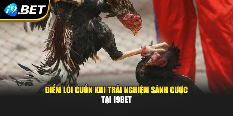 Điểm lôi cuốn khi trải nghiệm sảnh cược tại I9BET